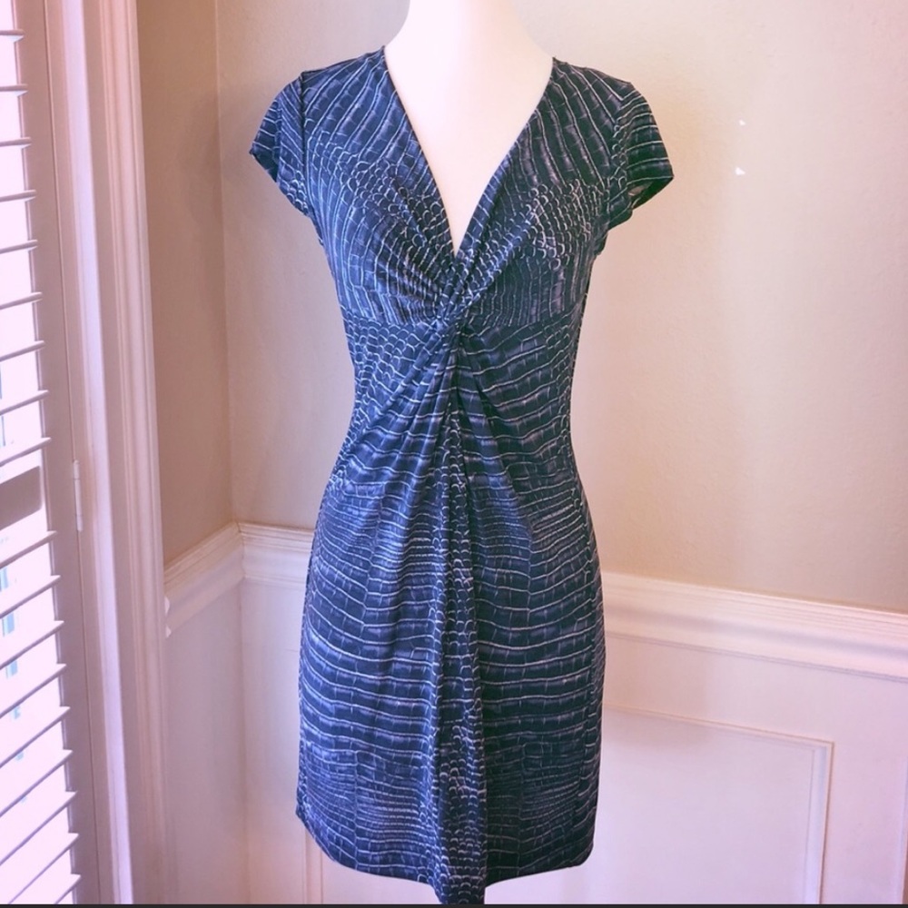 BCBGMaxAzria Dress
